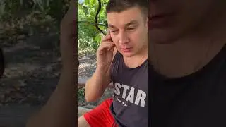 6 сентября 2024 г.