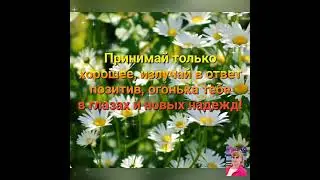 #сдобрымутром