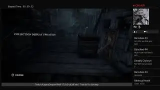 Thief
