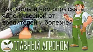 Как, когда и чем опрыскать яблони весной от вредителей и болезней