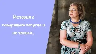 История о говорящем попугае и не только