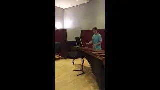 Pip and friend. Bach violin duo on marimbas