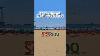 부산 현재 한적한 해수욕장!송도해수욕장은 지금 한적합니다!해수욕을 즐기려면 송도해수욕장으로 오세요.#부산핫플 #부산 #부산가볼만한곳 #광안리 #해운대 #송도해수욕장 #송도케이블카