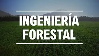 Estudia Ingeniería Forestal en la UNALM