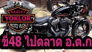 ขี่ฮาร์เล่ย์ 48 ไปซื้อผัก อ.ต.ก./ยกล้อทีวี