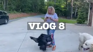 Class of 2020/Vlog 8