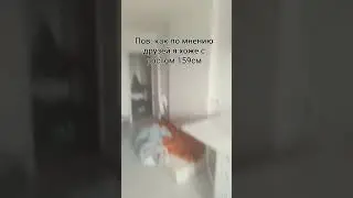 шмлалаплопг