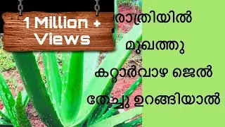 മുഖം വെളുക്കാൻ ഇനി ക്യാഷ് മുടക്കേണ്ട വെറും കറ്റാർവാഴ മാത്രം മതി || Homemade aloe vera jelly for skin
