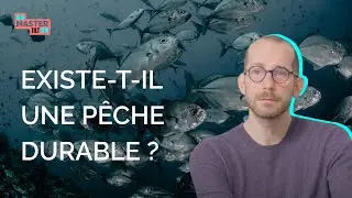 Pêche durable : comment protéger nos océans ?