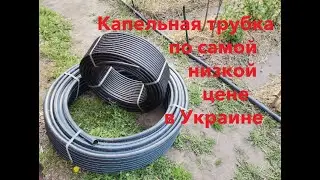 Как правильно поливать.