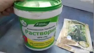 Рассада огурцов крепкая и здоровая