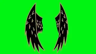 Wings green screen