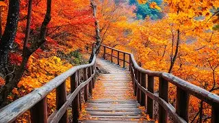 Beautiful Relaxing Music - Stop Overthinking, Soothing Autumn Melodies, Mindful and Peaceful Piano