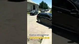 kaptiva prikol