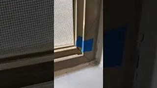 Check your doors 