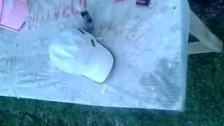 Кот в шляпе