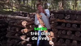 RENTABILIZE SUA APA COM COGUMELOS GASTRONÔMICOS