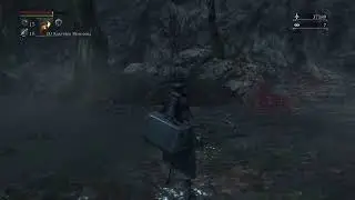 BloodBorne.Коопимся с Тюленем)Тени Ярнама