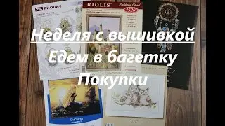 Неделя с вышивкой с 14.02 - 20.02.2022 / Едем в багетку / Покупки