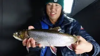 EARLY WINTER Ice Fishing For CRAZY Brook Trout!