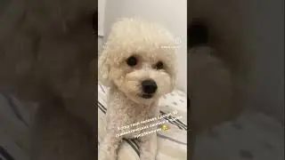 Как так можно?!