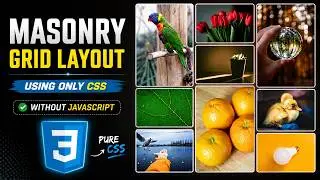 CSS Tips & Tricks: Creating a Masonry Grid Layout with Pure CSS, No JavaScript Required