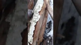 послушайте звук костра