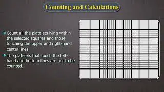 Platelet Count by Improved Neubauer Counting Chamber