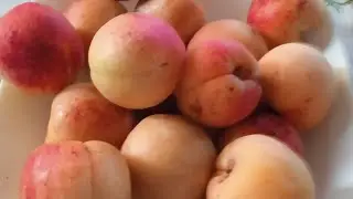 Ну вот и абрикосы поспели, варю джем и варенье 🍑🍑🍑