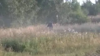 Покос бурьяна бензокосой дедовским методом