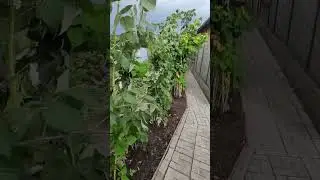Жить БЮДЖЕТНО в ДЕРЕВНЕ 🏠🌿💯❤️..
