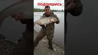 РЫБАЛКА 2021 НА СПИННИНГ С БЕРЕГА #Shorts #Short