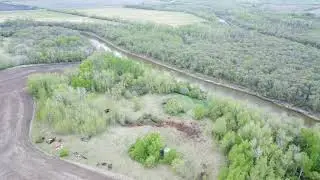 dji drone live at home