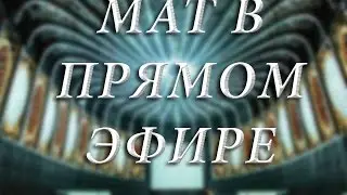 Смешное видео в эфире. Мат в прямом эфире.