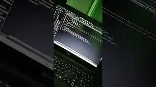 Web development office work