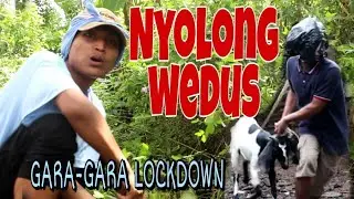 TAPI BOHONG part 5 || Nyolong Wedus Gara-Gara LOCKDOWN || Film Pendek Ngapak