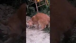 ОН думал, что я ТАКАЯ ЖЕ 🤣
