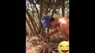 націдив    