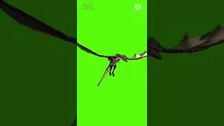 black dragon green screen / green screen guru