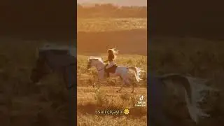 Axsaminiz xeyirli olsun♥️