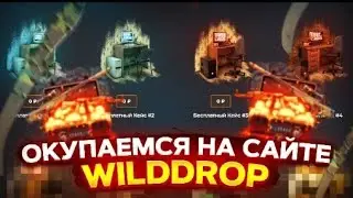 КАК ОКУПИТСЯ НА НОВОМ САЙТЕ? КЕЙС ИНВЕСТОРА НАКОНЕЦ ТО КУПИЛ НА WILDROP?!