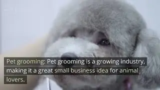 10 Small business ideas