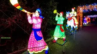 GoPro 10  test / night Wild Lights