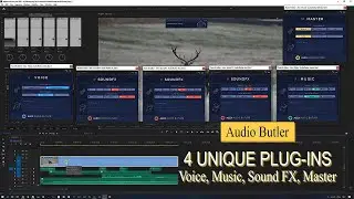 Audio plugin for Premier Pro by Alex Audio Butler