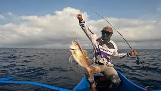JOBFISH|RUBY SNAPPER|BONITO