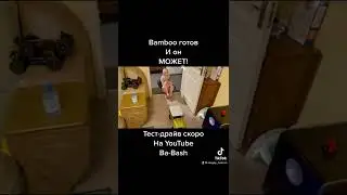 Bamboo champion