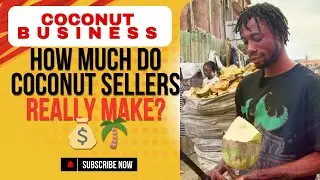 How Much Do Coconut Sellers Really Make? 💰🌴
