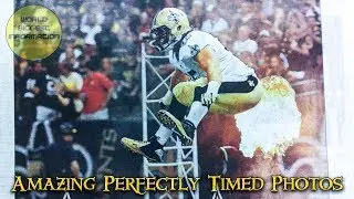 Amazing Perfectly Timed Photos Ever Taken | World Biggest Information