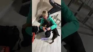 Когда давать таблетку от глистов?