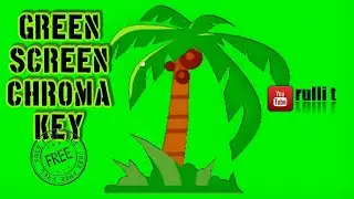 Green Screen - PALM TREE, COCONUT TREE animation 🔊